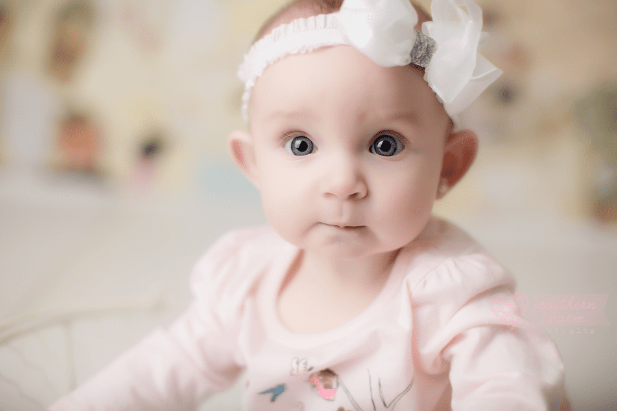 knoxville baby photography 