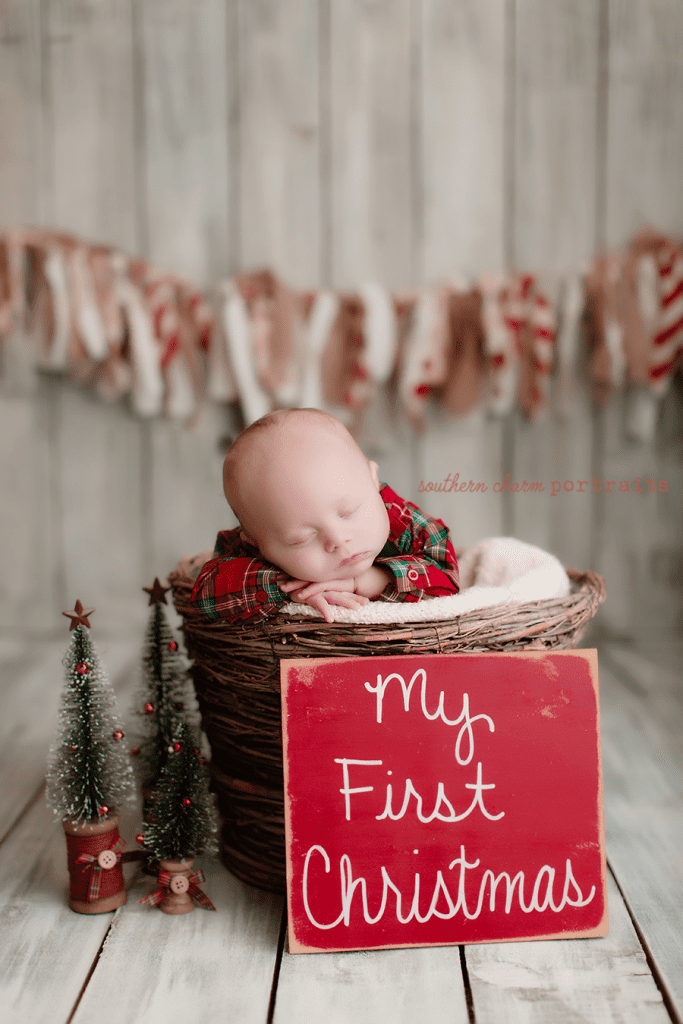 baby portraits lafollette, tn