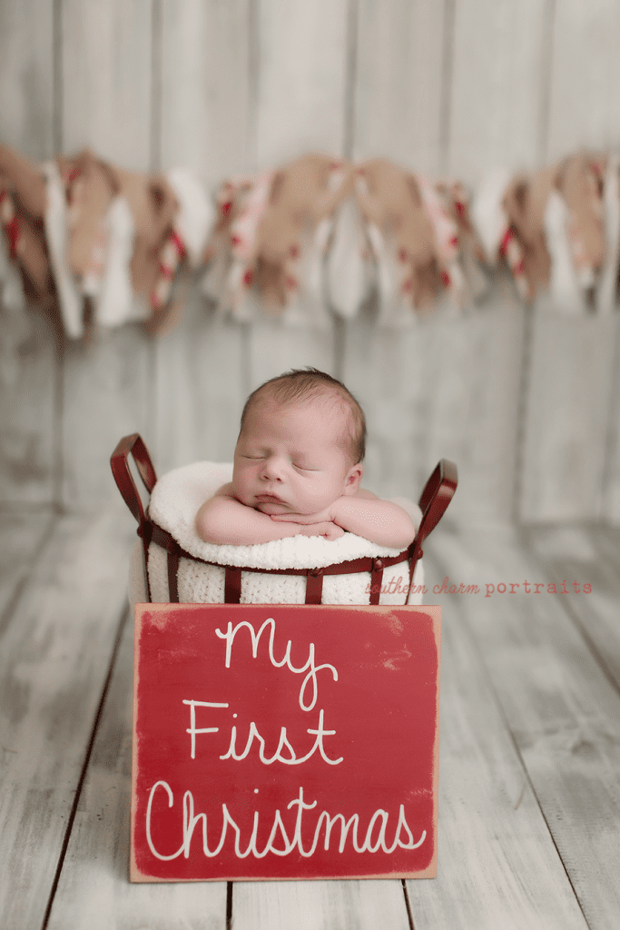 newborn photography east tn