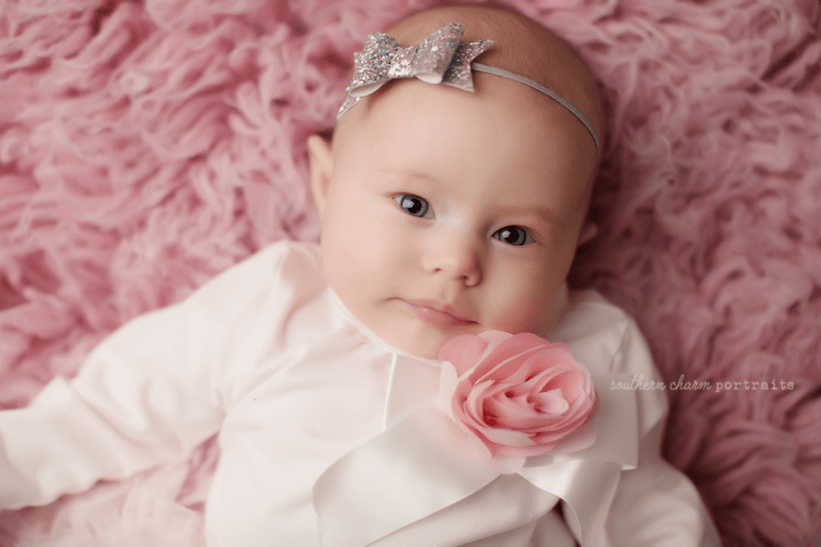 baby photographer knoxville