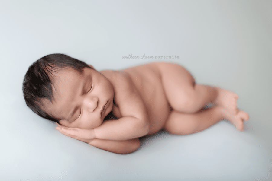 knoxville tn newborn photographer