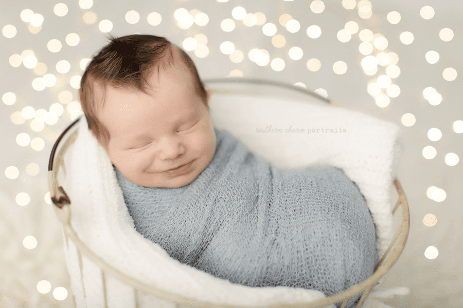 knoxville newborn photography