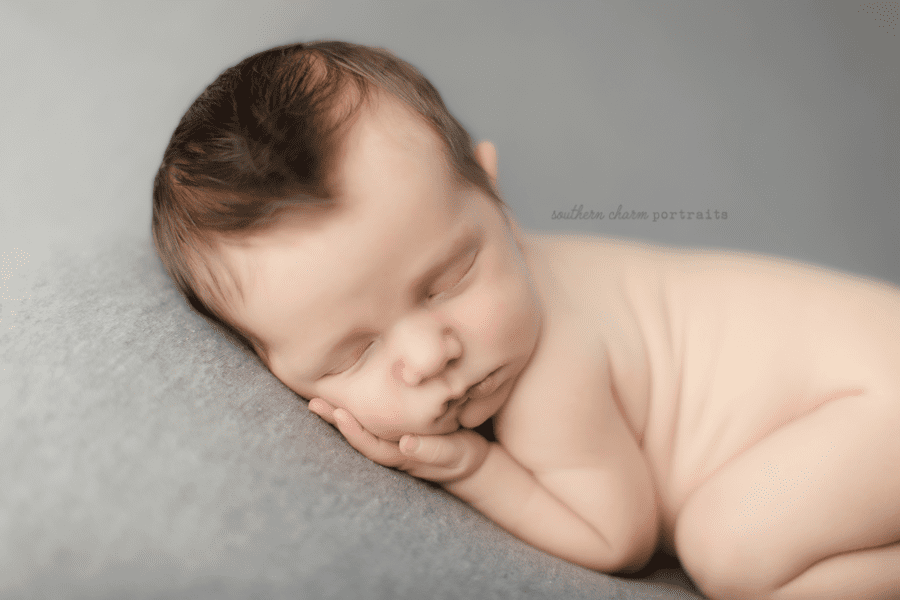 west knoxville baby portraits
