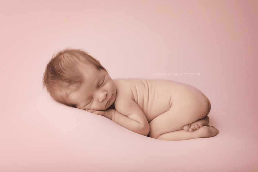 newborn photography maryville, tn