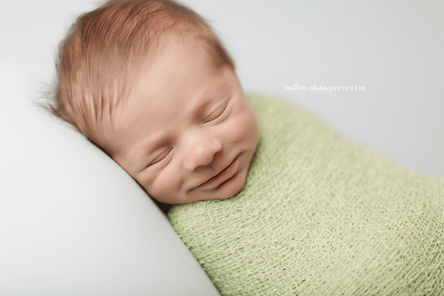 newborn photography powell, tn