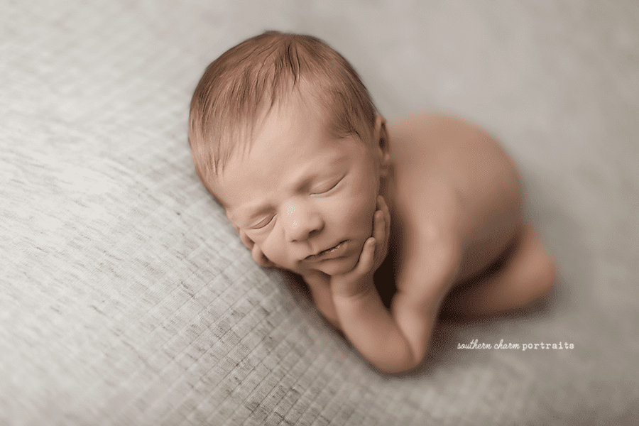 baby photographers halls karns powell tn