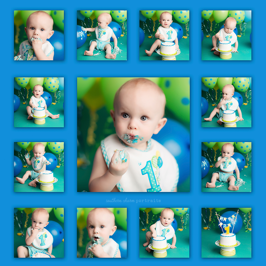 baby milestone photography knoxville