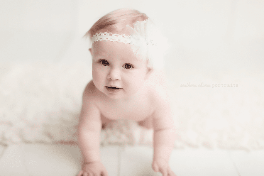 baby photographers knoxville