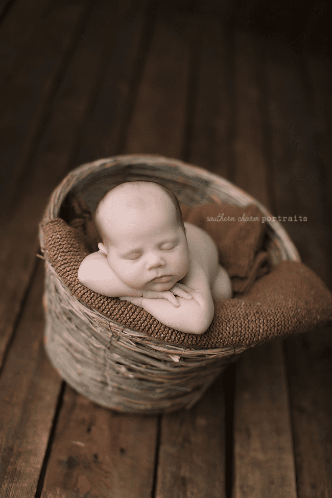 lafollette tn baby portraits