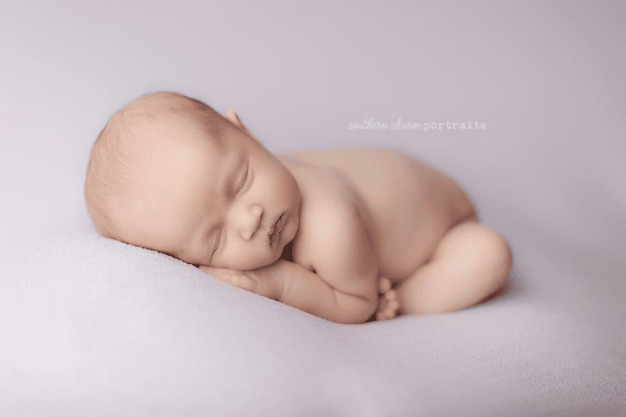 knoxville baby photographer