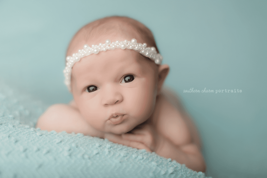 knoxville newborn photographer
