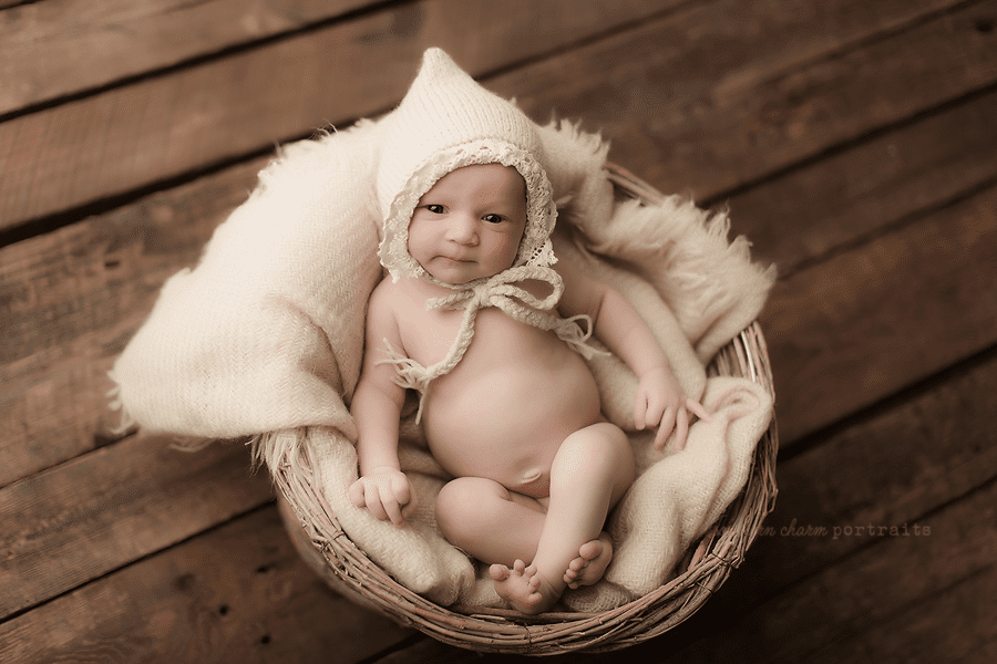 west knoxville tn baby portraits