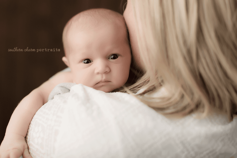 family photographer knoxville