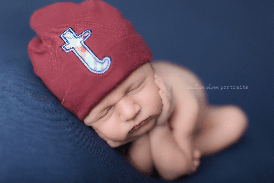 powell tn newborn photography