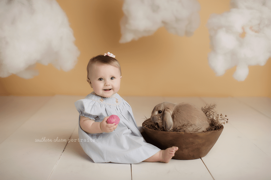 baby photographers east tn powell halls karns