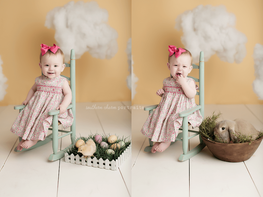baby portraits west knoxville