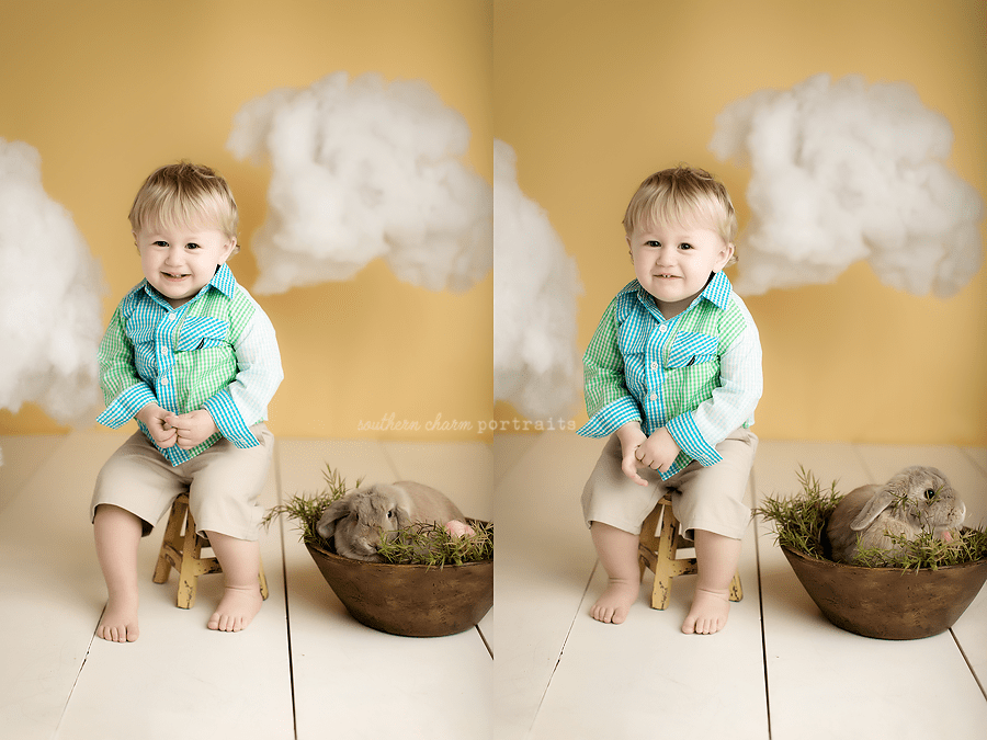 knoxville baby phtoography studio
