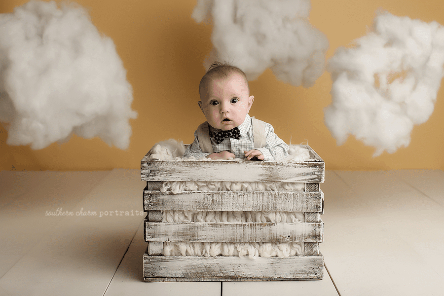 baby portraits west knoxville