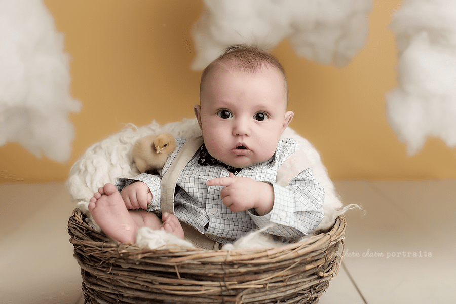 baby photography studio knoxville