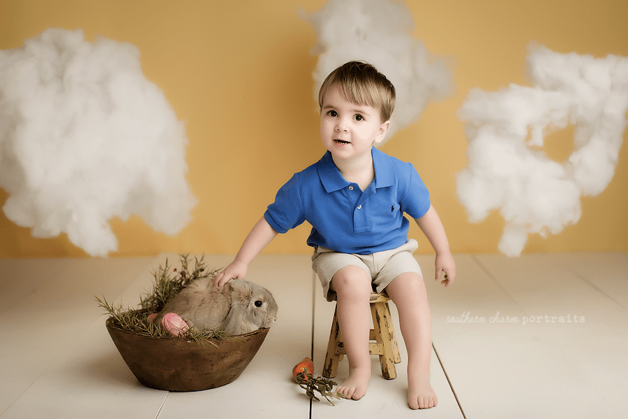 knoxville tn photographer
