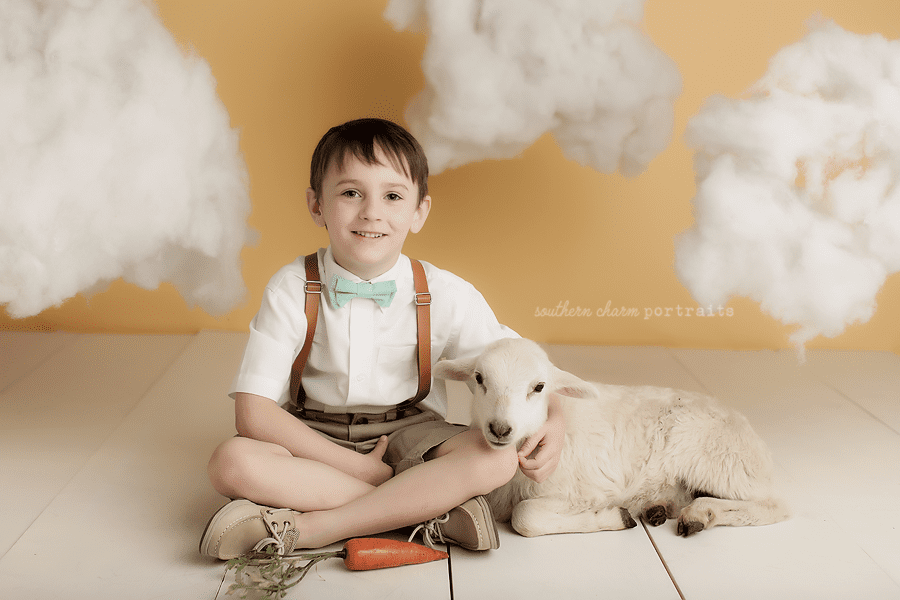 west knoxville children's photography 