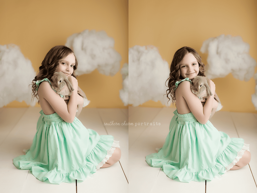 family photography knoxville
