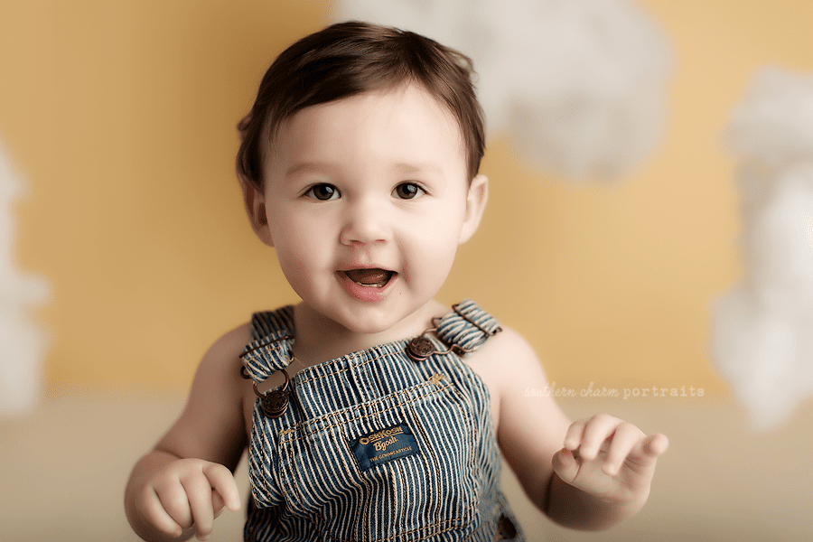 west knoxville tn baby photography studio