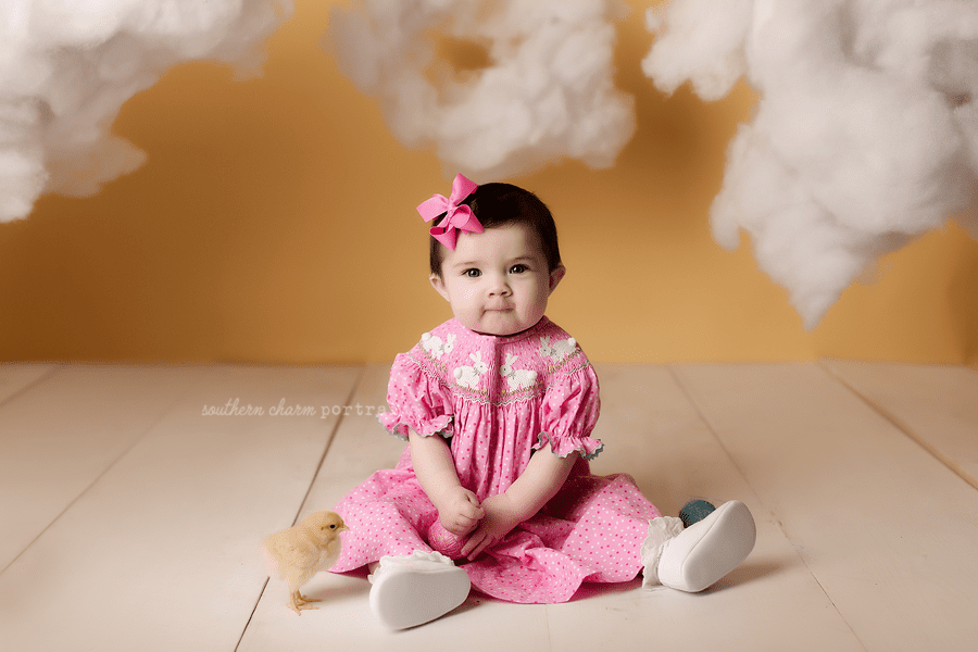 west knoxville baby photography studio