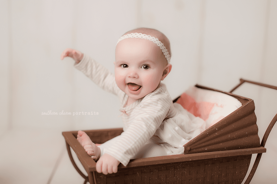 baby photography studio farragut tn