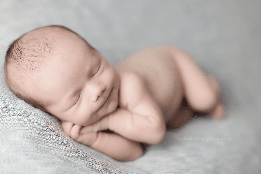 newborn photographer west knoxville farragut turkey creek
