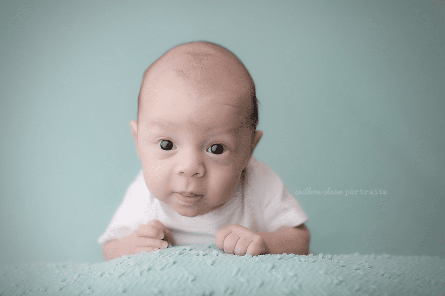 baby portraits west knoxville