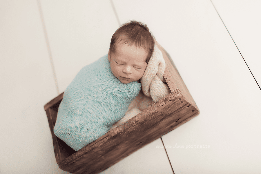 newborn photography studio in farragut knoxville