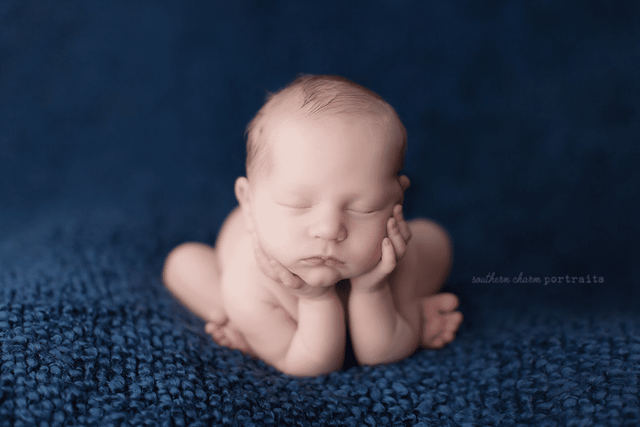 Newborn portraits farragut knoxville