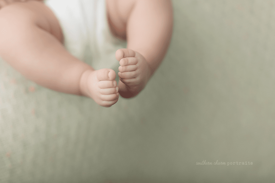 Powell TN Baby Photography