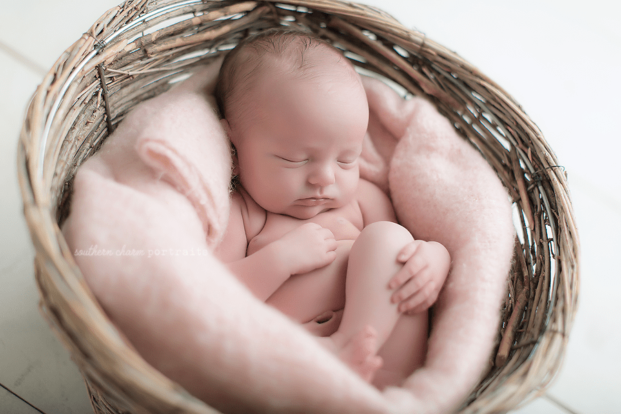 newborn portraits studio