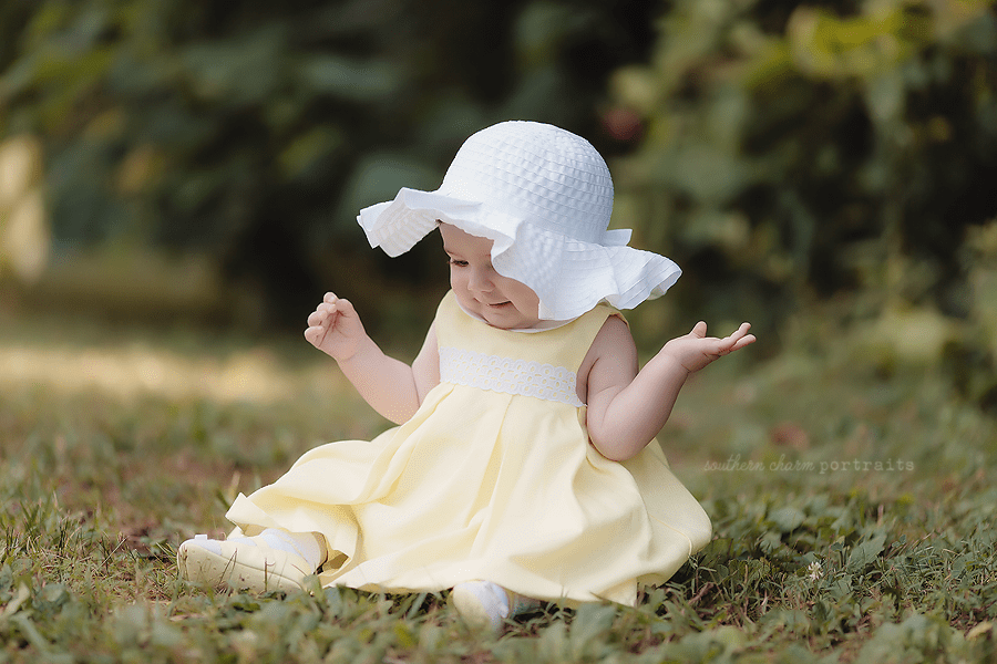 baby portraits knoxville