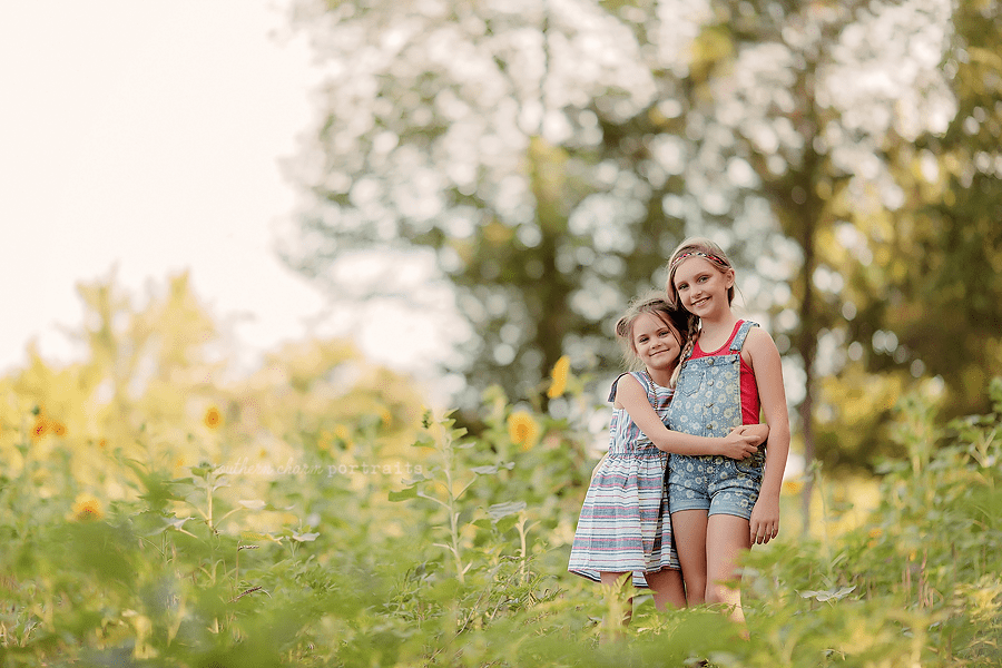 sunflower field knoxville tn
