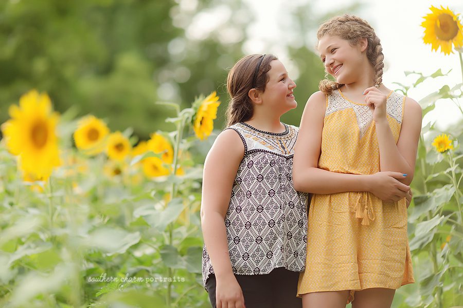 family photographer knoxville tn