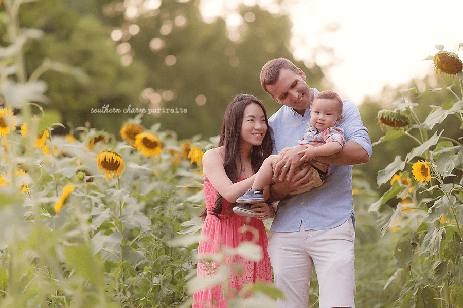 family photography Farragut TN