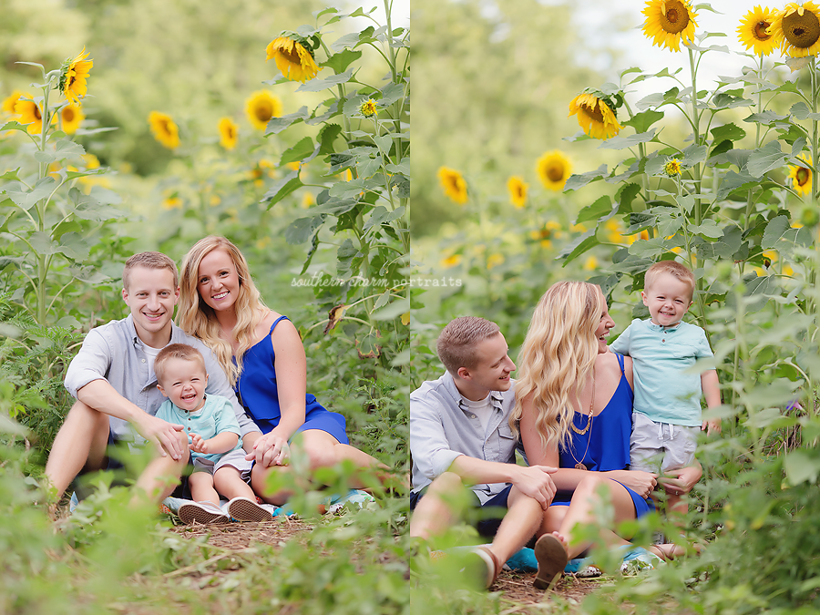 Powell TN Family Photographer