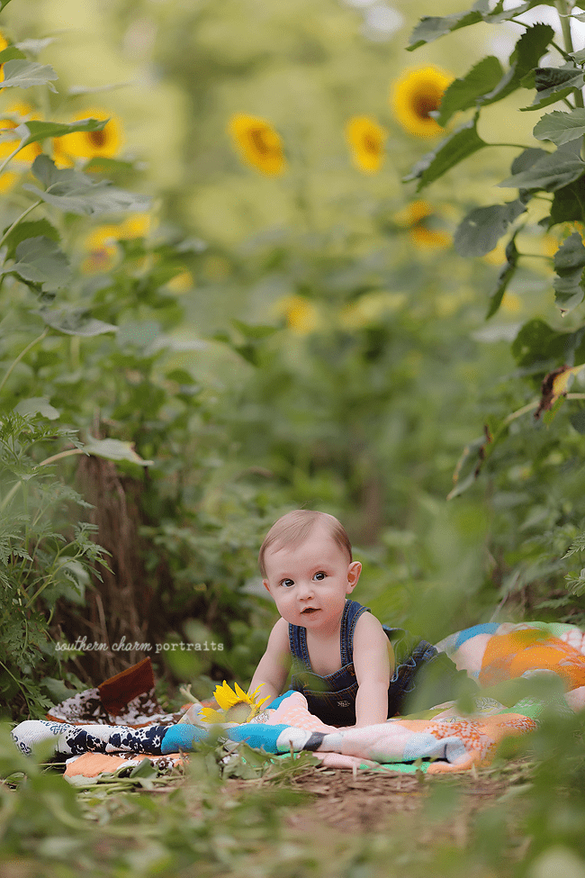Maryville TN baby portraits