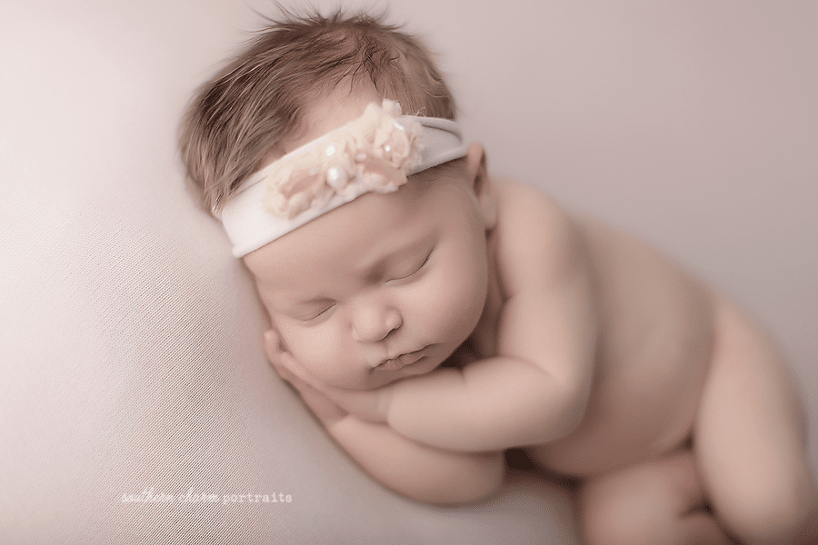 newborn portraits Farragut TN