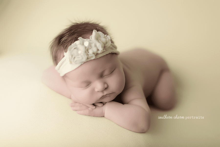 Farragut TN newborn photography