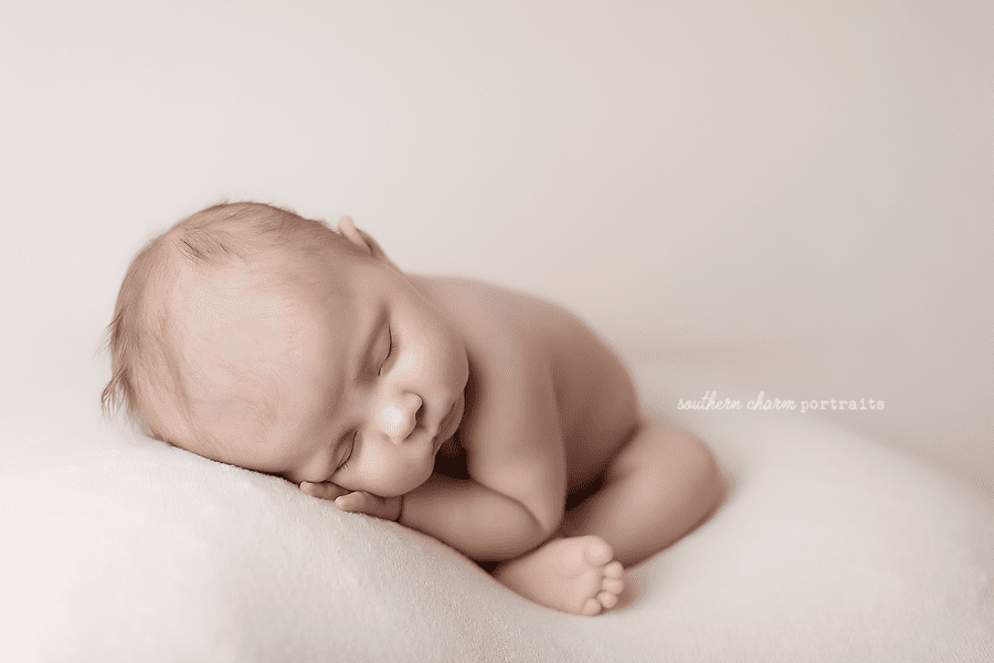 Maryville TN portraits
