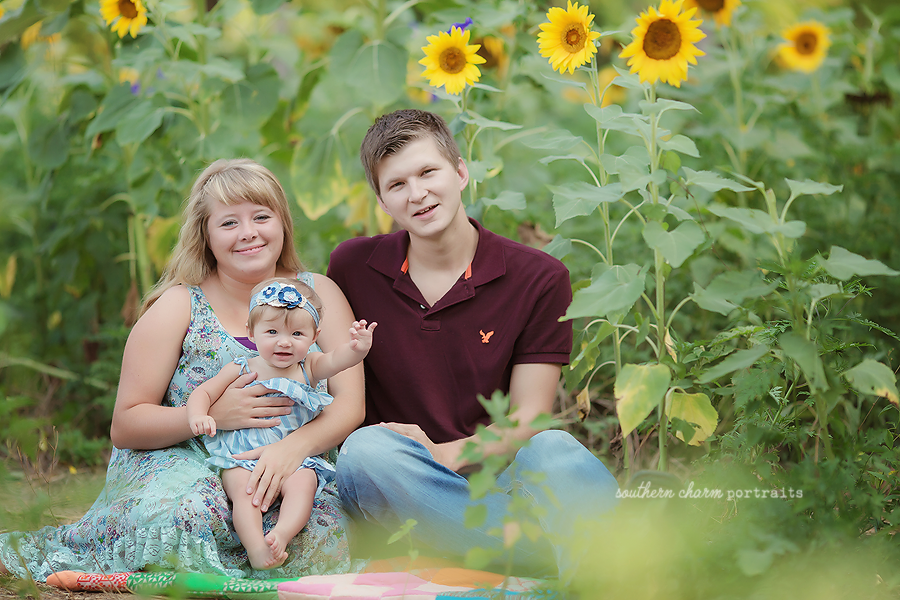 baby photography farragut tn