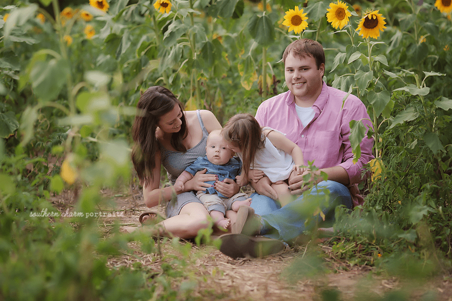 family photographers in Powell, TN