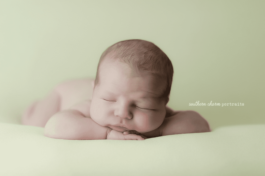 Newborn photographer Knoxville TN