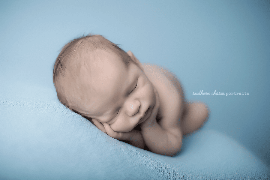 Knoxville TN Newborn Photography