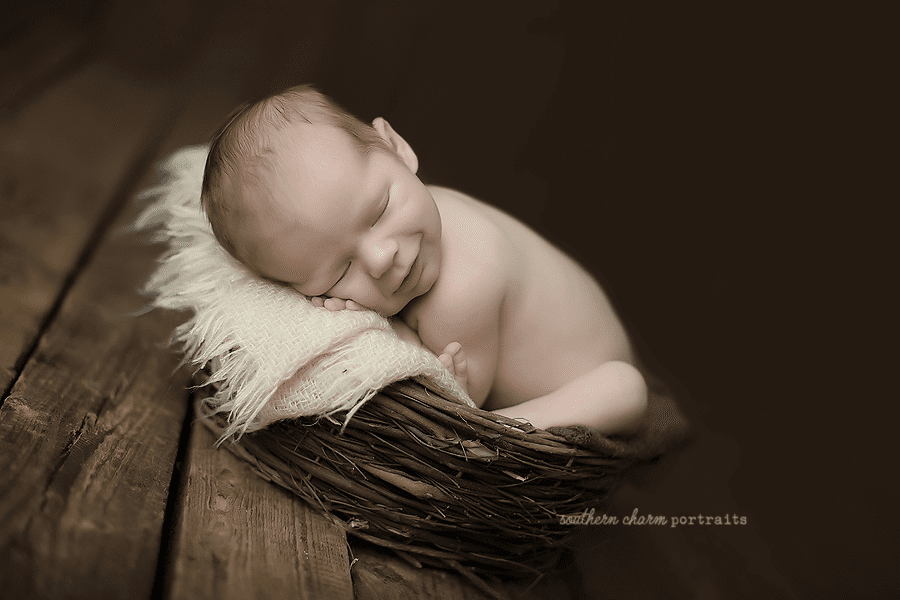 Turkey Creek Knoxville Newborn Portraits