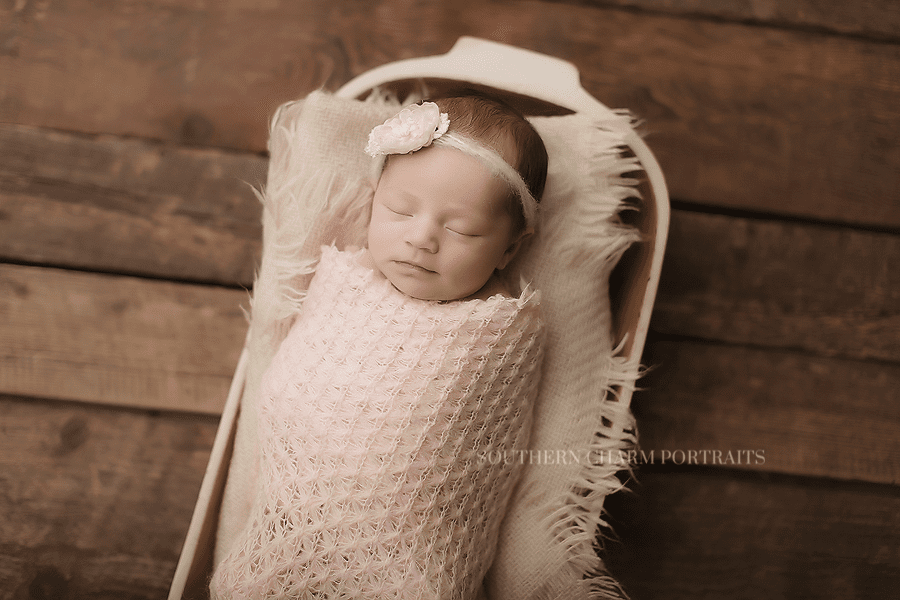 Clinton TN newborn photographer